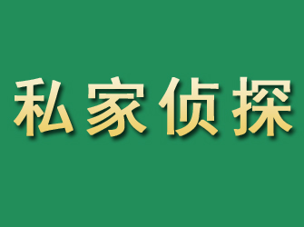 金水市私家正规侦探